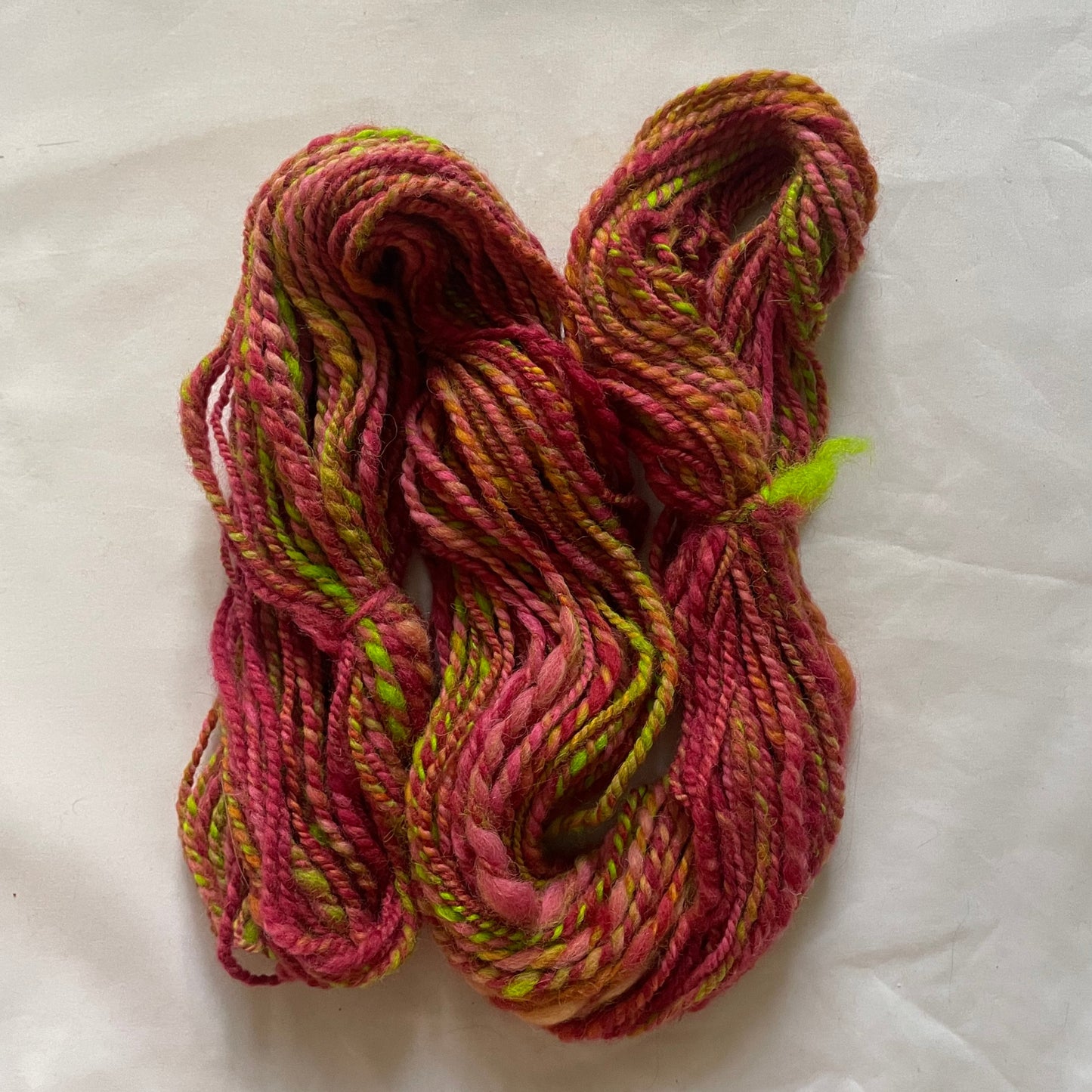 dragon 𖦹 2 ply